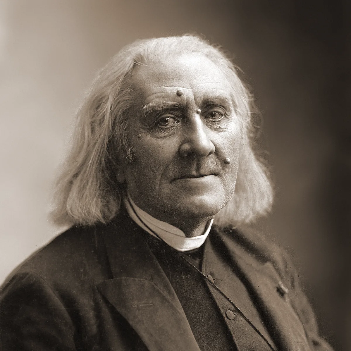 Portrait of Franz Liszt